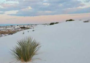 White Sands